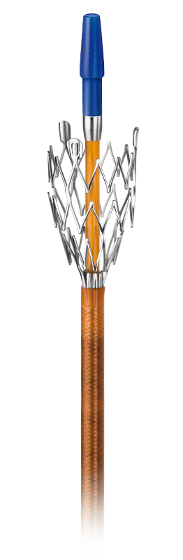 mc-p 5F Stent