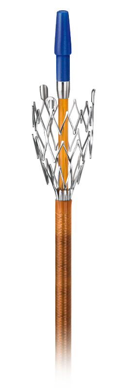 mc-p 6F Stent