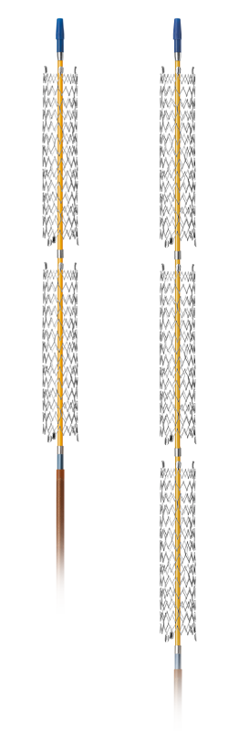 mc-p-2-Loc/mc-p-3-Loc